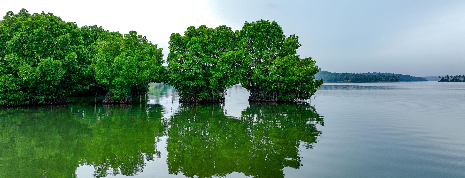 Munroe Island