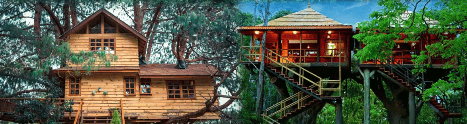 Best Treehouses in Kerala