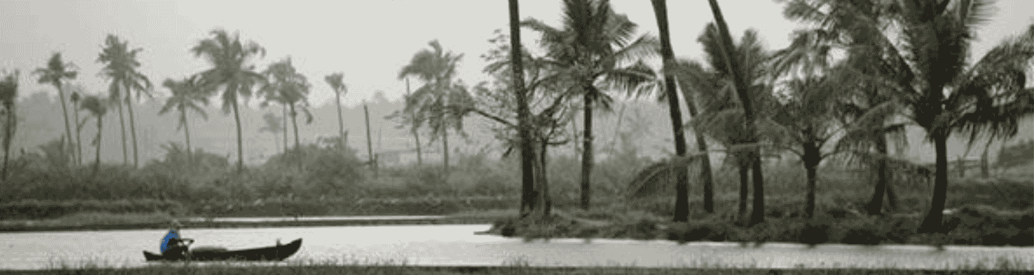 The “Silent Season”: Why August is Kerala’s Best-Kept Travel Secret